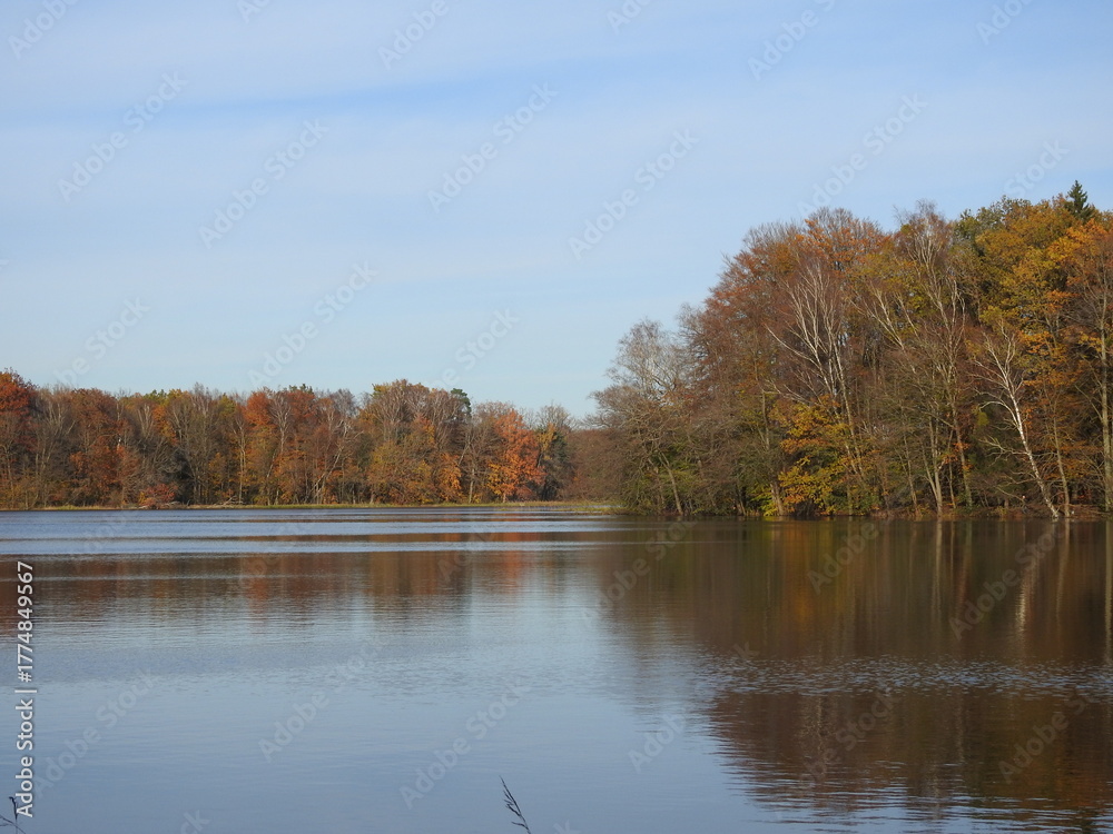 Obraz premium autumn trees on a lake