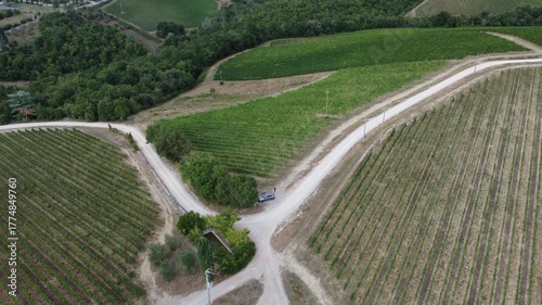 vineyard in koningsberg, france