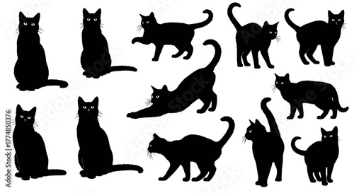 Silhouettes of black cats in various poses on a white background.