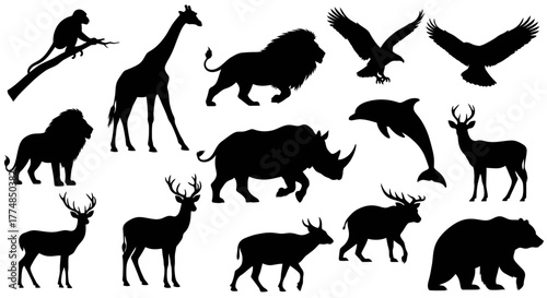 Silhouette of various animals including a monkey, giraffe, lion, rhino, deer, dolphin, eagle, and bear.