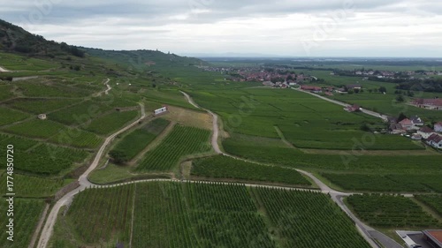 aerial view of a vineyard near koningsberg, france