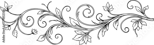 Elegant black and white flourish design with delicate leaves and swirling vines, perfect for decorative accents and invitations.