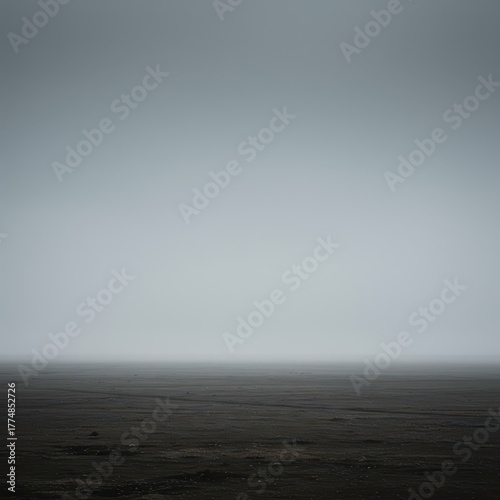 An expansive, desolate landscape covered in mist, suggesting infinite potential and the absence of intervention or presence, barren, chance, natural