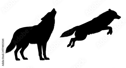 Silhouette of two wolves, one howling and one jumping, on a white background.