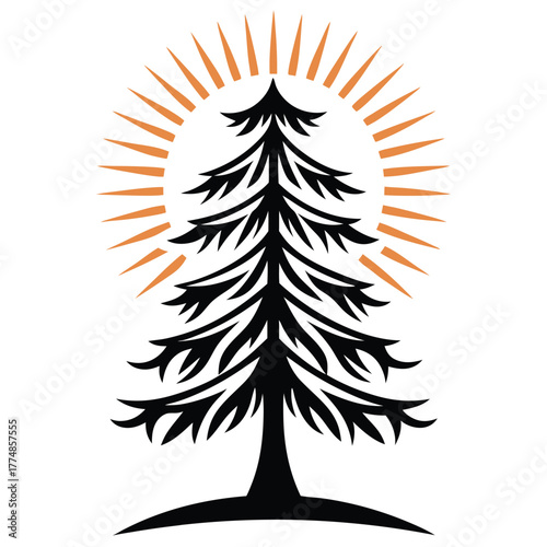 Majestic black fir tree stands outlined by golden sun rays above in silhouette