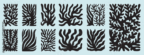 coral abstract shape matisse geometric set. poster organic art coral poster.contemporary minimal style. trendy boho marine corals illustrations