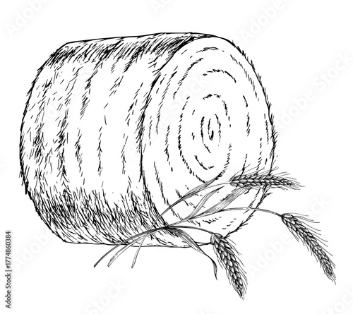 Haystack and wheat. Vector ink styled handmade illustration. For packaging design, cards, cover, prints, product labels and fabric.