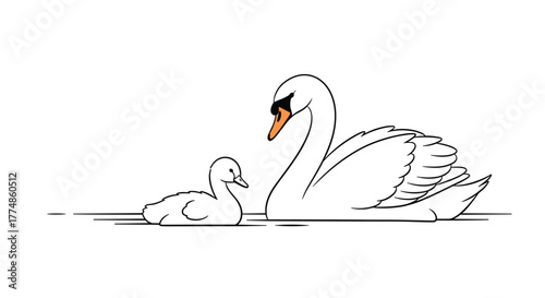 A graceful adult swan with a black mask and an orange beak swimming beside its smaller, fluffy cygnet on a calm body of water, facing right.
