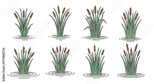 Stylized illustration set featuring eight identical clusters of cattail plants, also known as bulrushes, growing in tranquil water with gentle ripples.