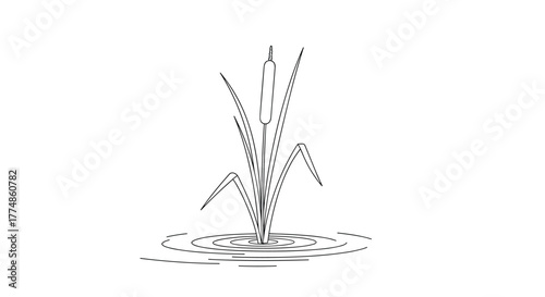 Simple black and white line drawing of a cattail plant with its distinctive cylindrical head and long leaves, growing in water with ripples.