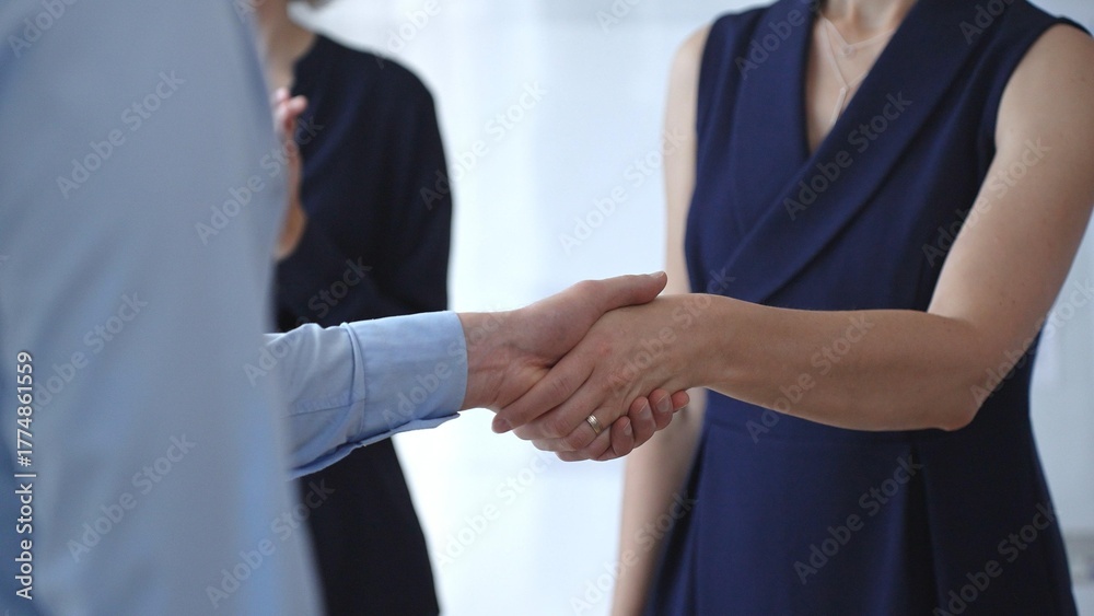 Fototapeta premium Business woman and businessman in blue shirt shaking hands, concluding a deal, and celebrating success with an agreement and partnership in a corporate office. Business people concept