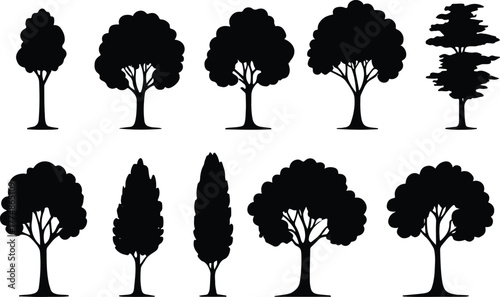 Architectural Drawings, Minimal style cad tree line drawing, Side view, set of section wetland forest outline for landscape design drawing. Vector illustration i
