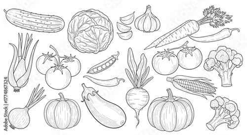 A detailed vintage-style line art collection depicting various common fresh garden vegetables, perfect for cooking, healthy eating, and farmers market themes.