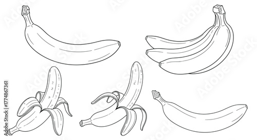 A collection of hand-drawn banana illustrations, featuring whole, unpeeled fruits, a bunch of three, and a detailed depiction of a partially peeled banana.