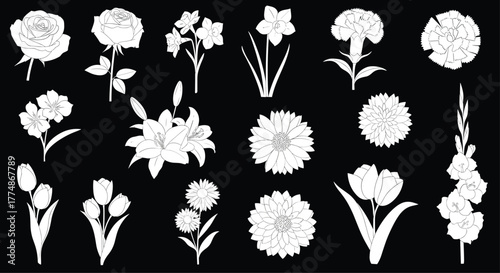 A diverse collection of white flower silhouettes featuring roses, lilies, tulips, daffodils, and other popular blooms, ideal for design elements and decorative patterns.