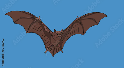 A brown bat with its expansive wings spread wide, captured in mid-flight against a vibrant, clear blue background, showcasing its unique nocturnal beauty.