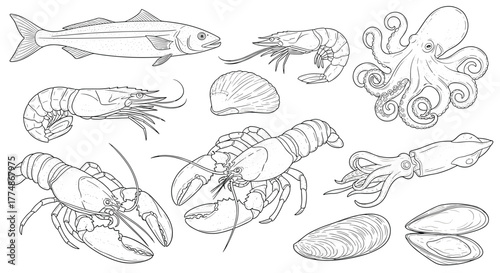 Detailed line drawing set showcasing a variety of popular seafood, such as fish, shrimp, lobster, octopus, squid, scallops, and mussels.