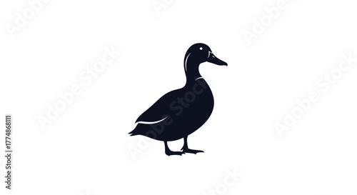 Simple black duck silhouette illustration with clean lines against a pure white background, depicting a waterfowl in a standing pose.