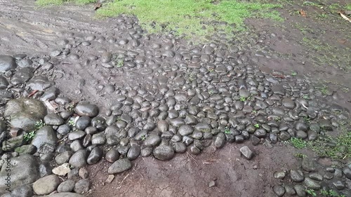 Small Stones on Village Pathway During Light Rain in the Afternoon – Natural Rural Atmosphere