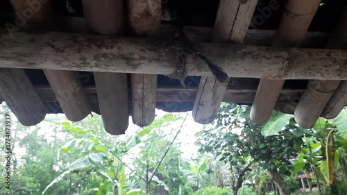 Relaxing Rainy Afternoon in the Countryside with Water Dripping from Clay Roof and Bamboo Support
