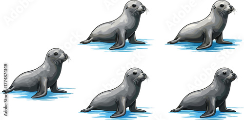 Seal illustration set, marine animal vector, ocean wildlife art, cute sea mammal on ice, cartoon aquatic creature, nature design