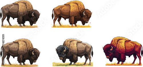 Bison illustration set, American buffalo wildlife art, grazing plains animal, strong wild bull, vector drawing, North American nature design