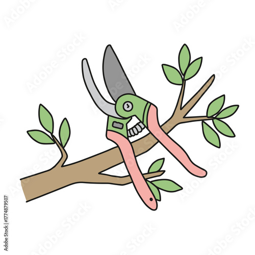Pruning shears cutting branches on tree with green leaves  