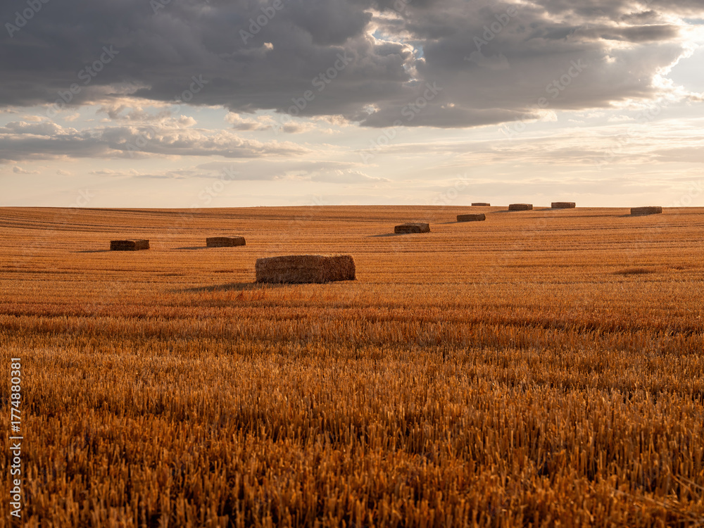 Fototapeta premium Golden field with hay bales under dramatic sunset sky