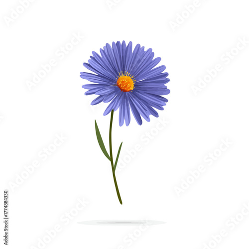Clean 2D flat vector depiction of a Aster Flower, designed in minimalist modern style with white background.