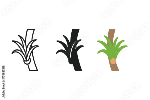 Epiphyte Plant Styles. Minimalist epiphyte plant icon: three identical epiphytes attached to trees in a row, first in line style