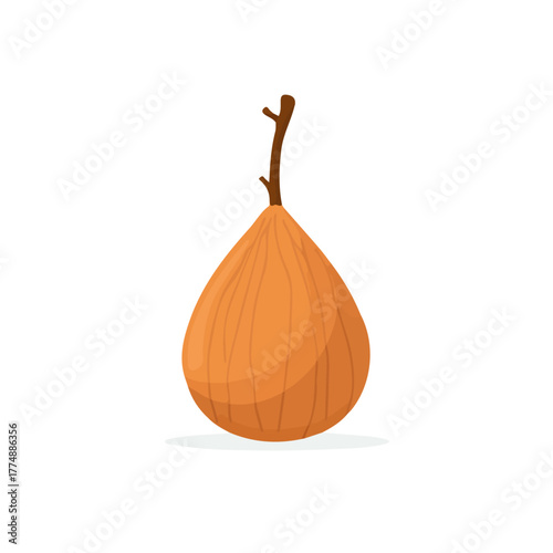 A simple and modern flat 2D vector of a Baobab Fruit, isolated on a pure white background.