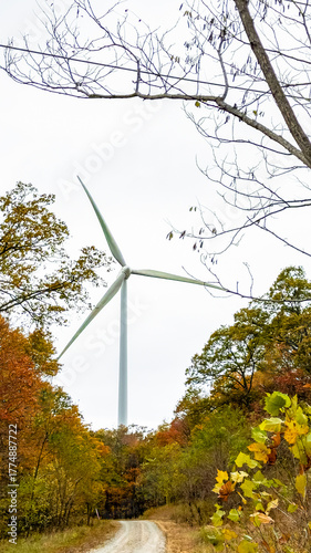 Wind Turbine on Forest Trail Surrounded by Autumn Foliage