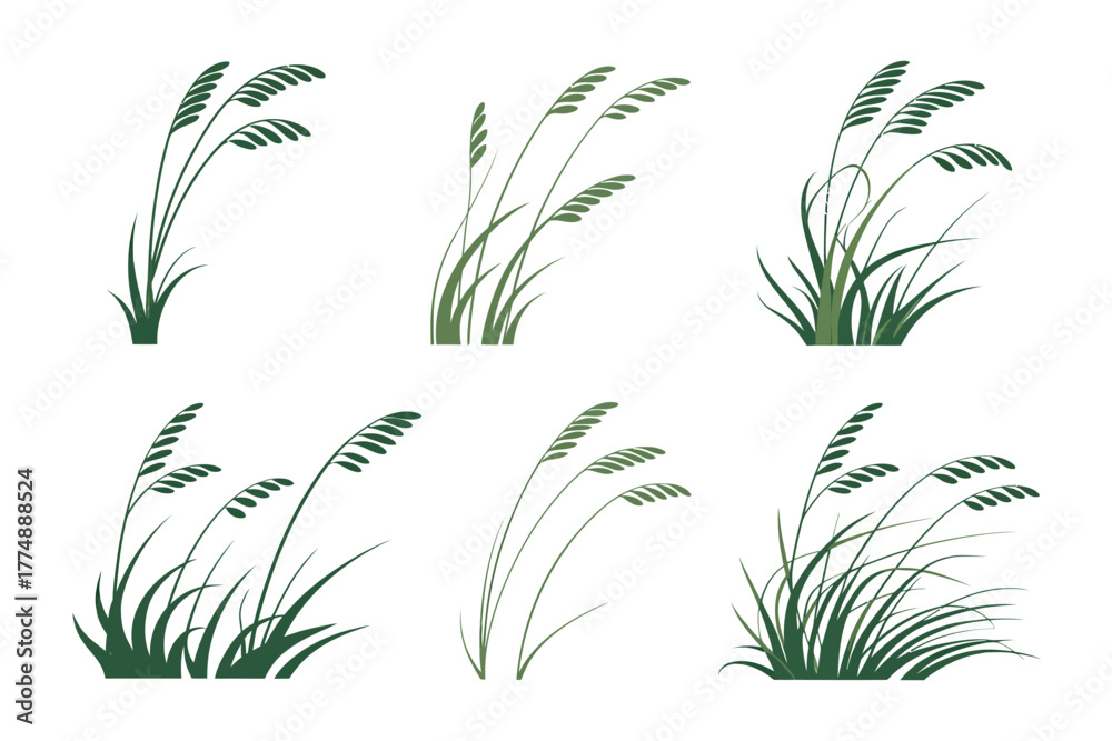 Obraz premium Illustrations of tall grass swaying gently in the breeze against a white background.