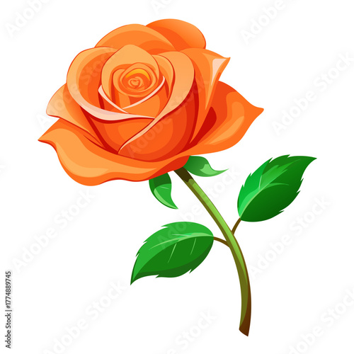 Orange rose flower vector illustration, fully bloomed botanical graphic element with stem and green leaves, vibrant stylized artwork, single.