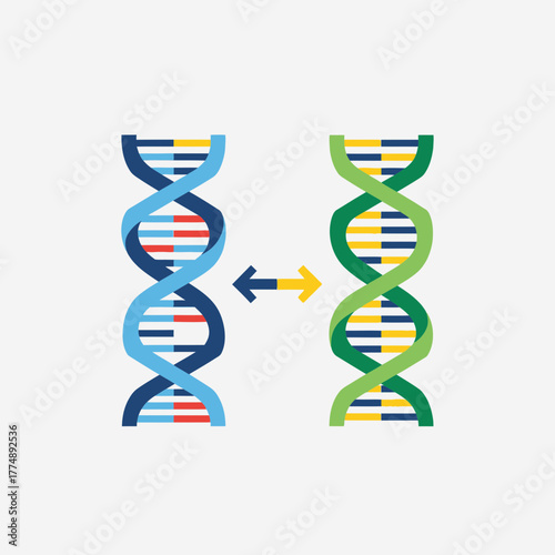 Two DNA strands with an arrow connecting them.