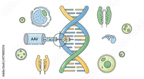 DNA strand with AAV vector and cell illustrations.