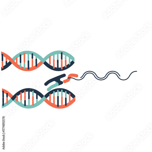 DNA strands being manipulated by a tool and a separate strand.