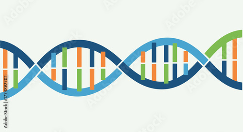 Stylized DNA double helix with colorful strands and bases.