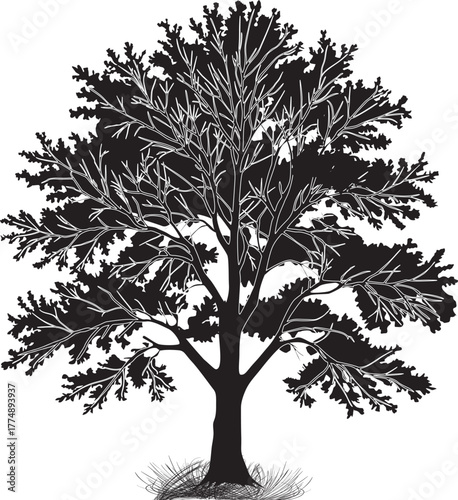 dense tree black silhouette isolated on white