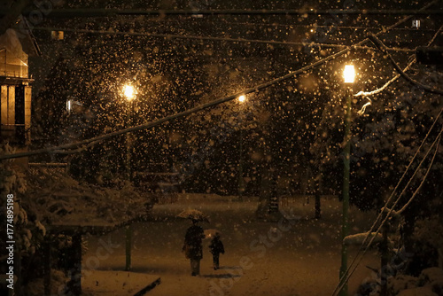 Daily Life in Japan 
Mother and young child walking through a small city park on a snowy evening