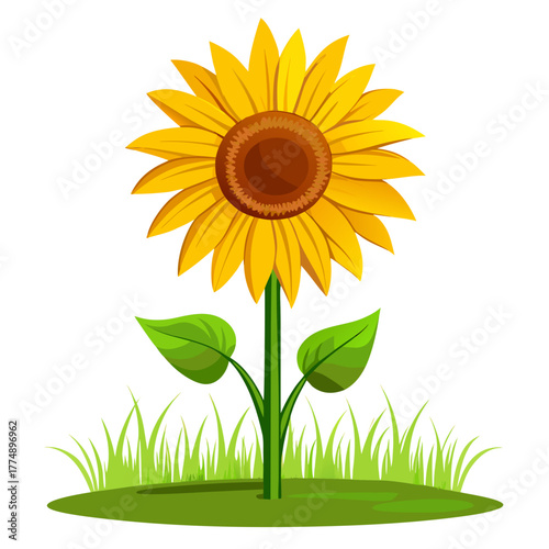 Vibrant yellow sunflower growing in green grass vector illustration. summer floral design elements, blooming helianthus plant on lawn.