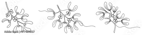 Line art mistletoe sprigs seamless horizontal divider – elegant minimalist Christmas ornament