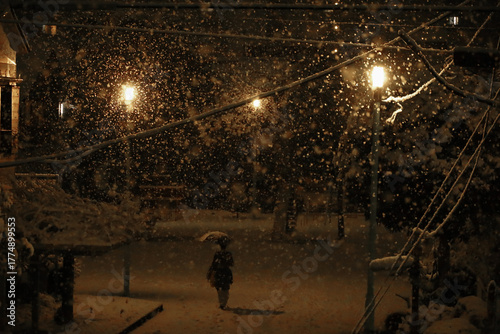 Daily Life in Japan
A woman walking through a small urban park on a snowy evening