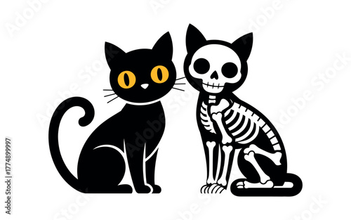 Spooky black cat and skeletal companion ready for Halloween fun