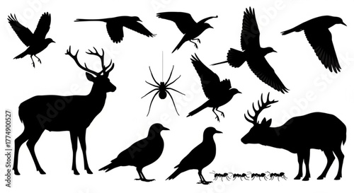 Silhouette of deer, birds, spider and ants in a wildlife scene against a white background view image created with generated ai