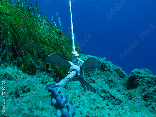 Grapnel anchor on rocky sea floor