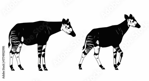 High quality okapi silhouette set featuring the rare african forest animal in clean vector style designed for posters prints logos and digital art projects