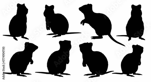 Quokka silhouette collection showcasing the friendly australian marsupial in clean and minimal vector art style perfect for posters prints logos and wildlife artwork