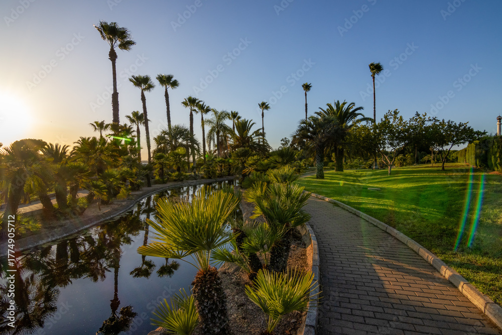 Naklejka premium Peaceful path with palm trees and pond at sunset in José Celestino Mutis Botanical Park, Palos de la Frontera, Huelva, Spain. Nature and travel concept.