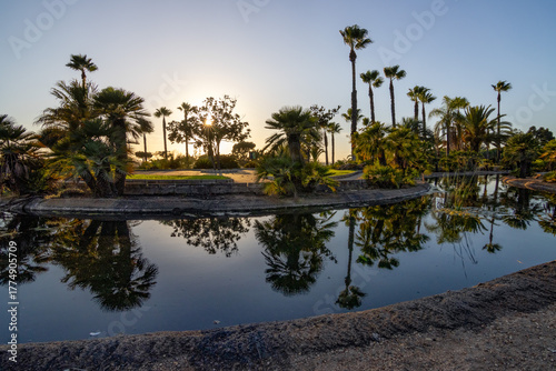 Peaceful path with palm trees and pond at sunset in José Celestino Mutis Botanical Park, Palos de la Frontera, Huelva, Spain. Nature and travel concept.

